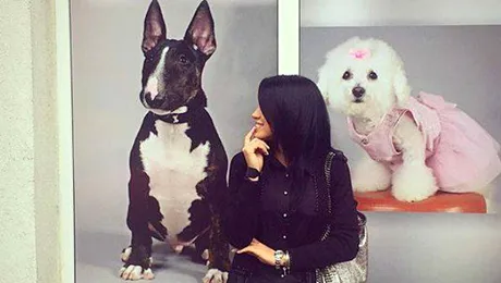 Căţeii Adelinei Pestriţu au pozat pentru o reclamă! Suma pe care au câştigat-o e ridicol de mare