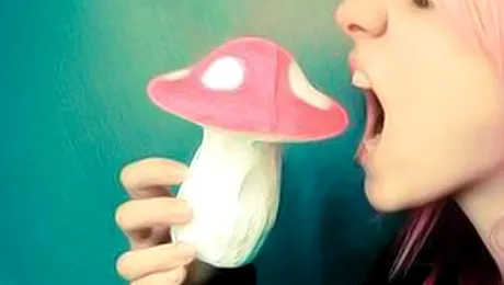 Un adolescent s-a împușcat după ce a mâncat ciuperci halucinogene