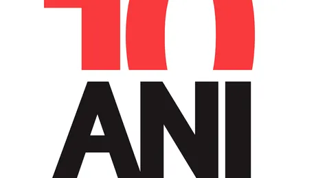 BRD sarbatoreste 10 ani de la privatizare