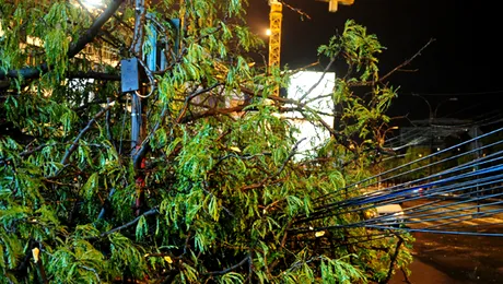 Din cauza furtunii de aseara, o macara s-a prabusit