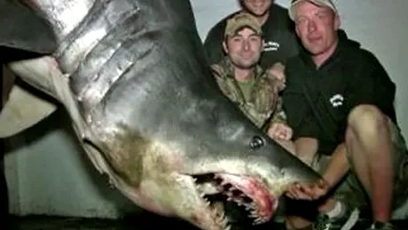 Un american a prins cel mai mare rechin din istorie