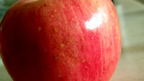 Cel mai scump mar din lume costa 10.000 de dolari