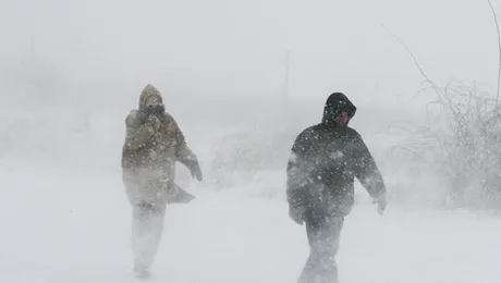 Ninsori și vânt puternic în mai multe zone din țară