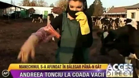 Andreea Tonciu: „Cum v-ati dat seama ca vaca e in calduri?”