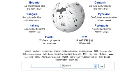 Cofondatorul Google, Sergey Brin, a donat 500.000 de dolari pentru Wikipedia