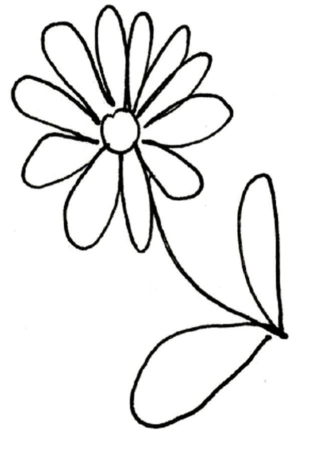 Poti sa desenezi flori cu doua tipuri de petale...
