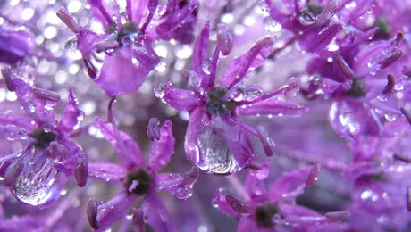 Vremea.Apropo.ro: Prognoza meteo pentru duminică, 16 martie