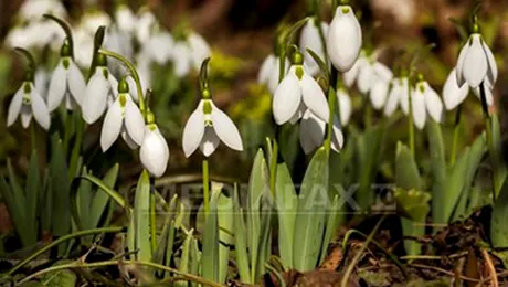 Prognoza meteo pentru luni, 9 martie 2015