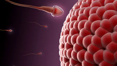 Donatorii roscati, refuzati la banca de sperma