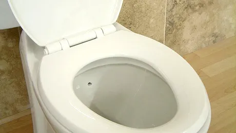 A căzut cu capul în TOALETA magazinului pe care-l jefuia!