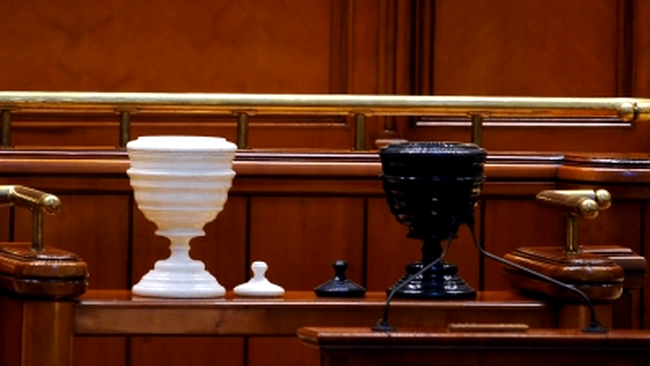 Urnele de vot din Parlamentul Romaniei