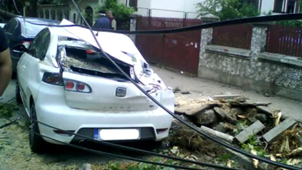 Furtuna la Timisoara - masini distruse de copaci!