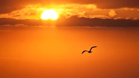 Vremea.Apropotv.ro: Prognoza meteo pentru joi, 31 iulie 2014