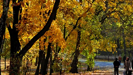 Prognoza meteo până pe 20 octombrie 2013