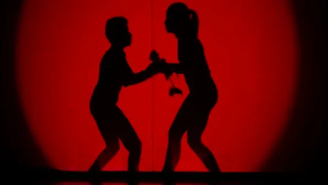 Teatru de păpuşi şi teatru de umbre, balet rusesc şi muzică bună, la “Next Star”