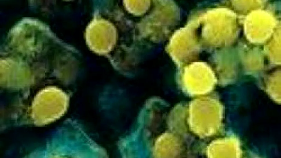 NDM-1, bacteria rezistenta la antibiotice, a facut prima victima!
