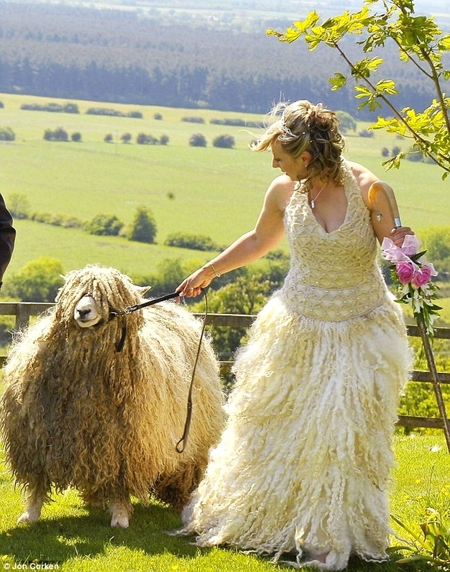 Rochie de mireasă făcută din lâna uneia din oile miresei