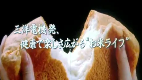 Fa-ti paine acasa cu Sanyo Gopan!