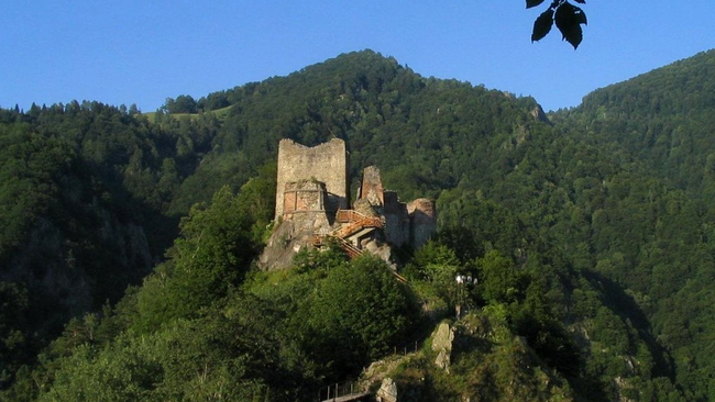 cetatea poenari