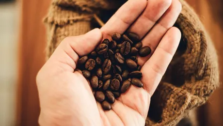 (P) Ce vedete din România preferă cafeaua de origine unică