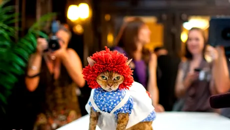 Cand pisica nu-i acasa…, e la Feline Fashion Show (Poze)