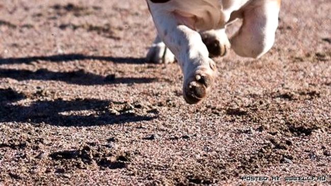 De data asta nu imi mai scapa!