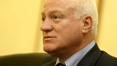 Stoica: Alegerile in noul PDL vor avea loc abia in 2009