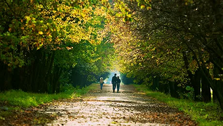 Cum va fi vremea până pe 2 noiembrie 2014