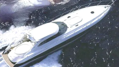 Plajele australiene, închise de prezența unui rechin uriaș