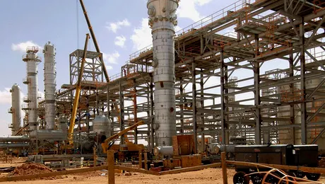 Algeria: 34 de ostatici uciși în cursul operațiunilor de salvare