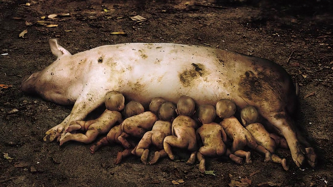 Reclame care forteaza limitele imaginatiei