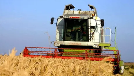 Cum se face politica fiscala a Romaniei: „Bai, avem destule taxe!”