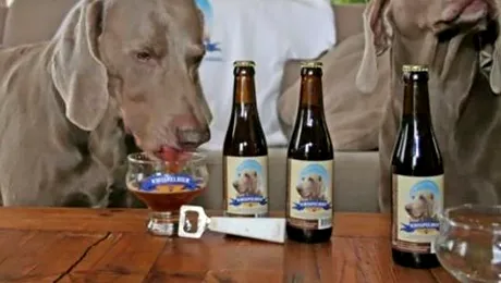Dog Beer, berea adresata exclusiv cainilor