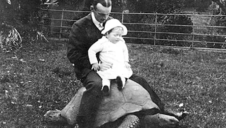 17 animale mai bătrâne decât bunicii tăi