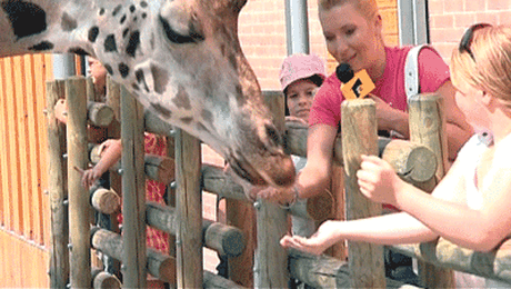 Sufletele din spatele gratiilor