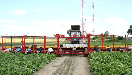 Aveti sau vreti… masina de cules castraveti?