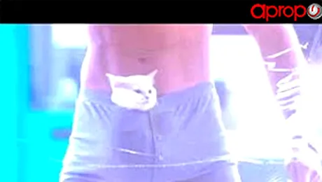 Pisicuta care atrage invidia femeilor