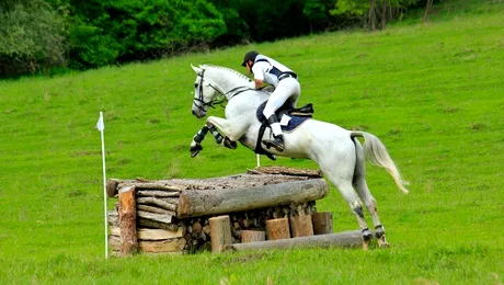 Transylvania Horse Show, aproape de start!