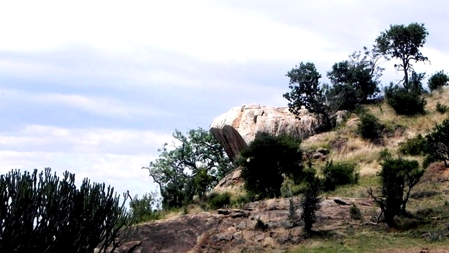 Pride Rock din Lion King 2