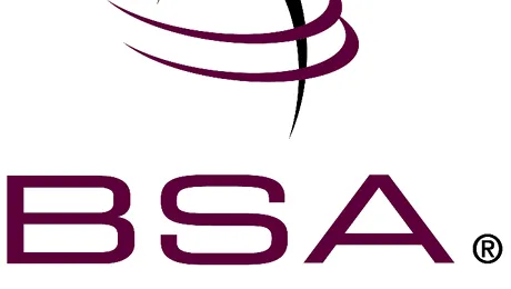 Pirateria software scade, pierderile cresc