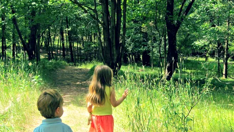 Plimbatul prin pădure te scapă de stres