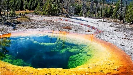 Curcubeu lichid: monedele „norocoase” au poluat apele unui izvor