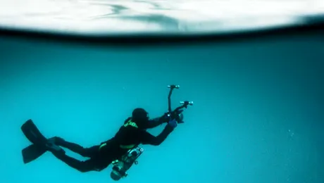 TV5MONDE  pune accent pe programele dedicate mediului, în 2015