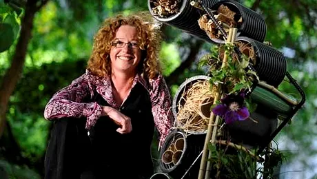 Hoteluri de lux pentru insecte (Poze)