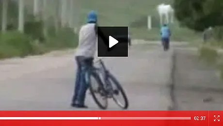 Un biciclist mort de beat merge… pe langa drum, pe langa gard! (Video)