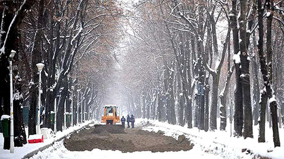 Vremea Apropo.ro: Toamna cu aspect de iarna, in plina primavara