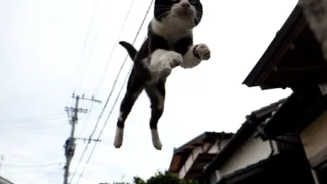 Săritura în lungime!