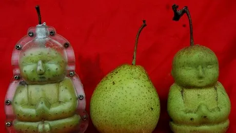 Mama Natura creeaza ciudatenii! (Poze)