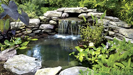 Cele mai ciudate 10 cereri de livrare prin poștă