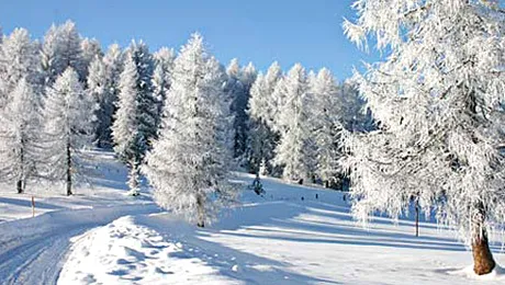 Cum va fi vremea în intervalul noiembrie 2012 – ianuarie 2013